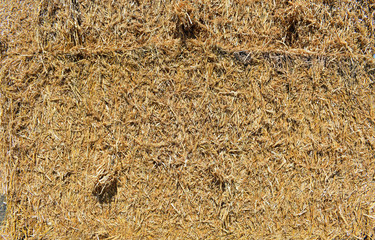 Straw Bale close up