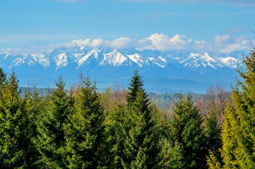Fototapeta premium Charming spring mountain landscape. Beautifully snow-covered high peaks over hills.