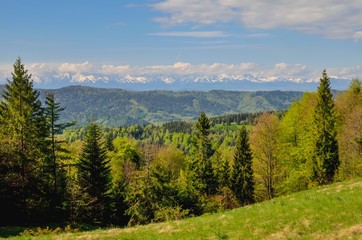 Charming spring mountain landscape. Beautifully snow-covered high peaks over hills.