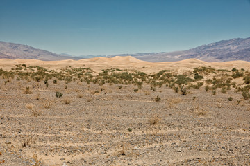 Mesquite Flat Sand Dunes, Death Valley National Park, USA