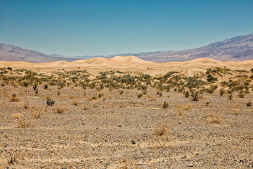 Mesquite Flat Sand Dunes, Death Valley National Park, USA