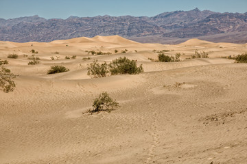 Fototapeta na wymiar Mesquite Flat Sand Dunes, Death Valley National Park, USA