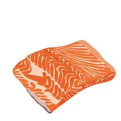 fresh salmon steak on a white background illustration vector eps 10