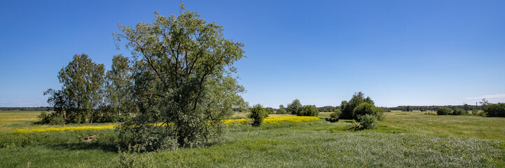 Sunny summer rural landscape with river, fields, trees and blue sky.