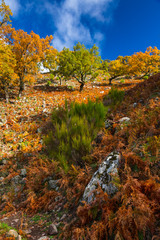 Ambroz valley, Cáceres, Extremadura, Spain, Europe