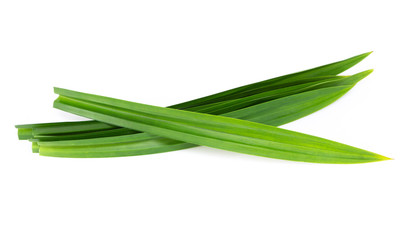 Fototapeta premium Fresh green pandan leaves isolated on white background