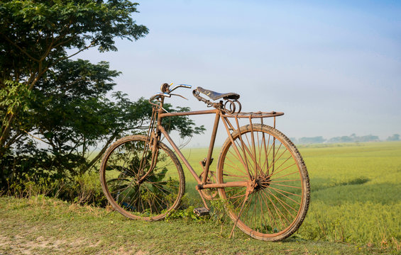 old bicycle in field