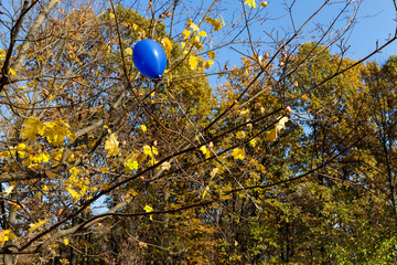 autumn blue balloon
