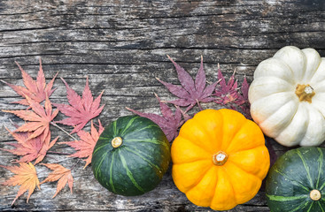 Pumpkin or squash on wood for autumn and halloween background