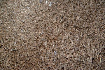 Taking photographs of wood plywood, used for making pellets