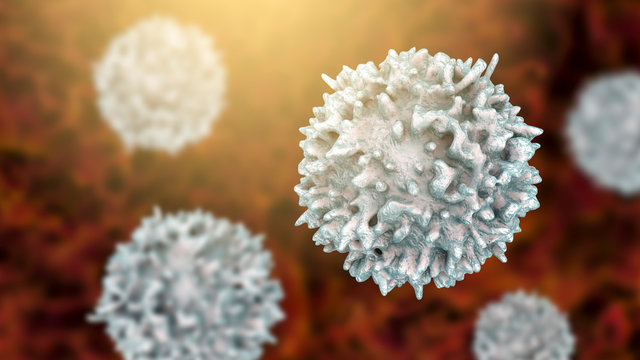 Lymphocyte, 3D illustration. Closeup view of T-cell or B-cell