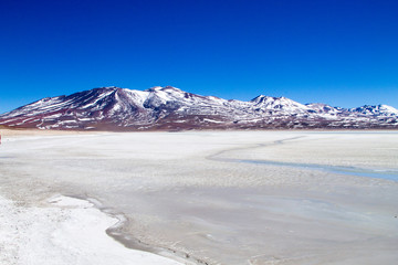 Fototapeta na wymiar Laguna Blanca landscape,Bolivia