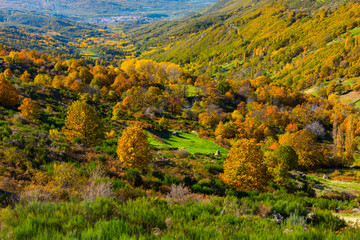 Ambroz valley, Cáceres, Extremadura, Spain, Europe