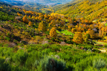 Ambroz valley, Cáceres, Extremadura, Spain, Europe