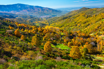 Ambroz valley, Cáceres, Extremadura, Spain, Europe