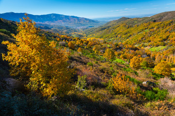 Ambroz valley, Cáceres, Extremadura, Spain, Europe