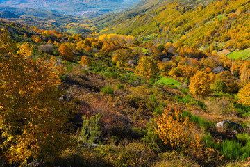 Ambroz valley, Cáceres, Extremadura, Spain, Europe