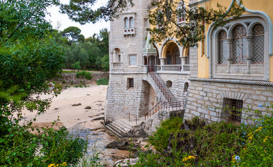 Naklejka premium Small beach in Cascais, Portugal with yellow flowers & tree branches in the foreground. 