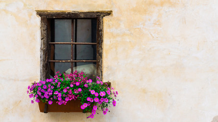 Fototapeta na wymiar old window with red flowers