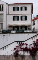 Fototapeta premium Magenta flowers climbing up a white wall with a traditional Portuguese home and a cloudy sky.