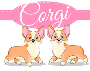 Corgi with different poses in cartoon style with grain texture collection. Set of funny doodle dogs with dots shadow.