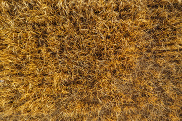 Aerial photography of farmlands, agricultural fields. 