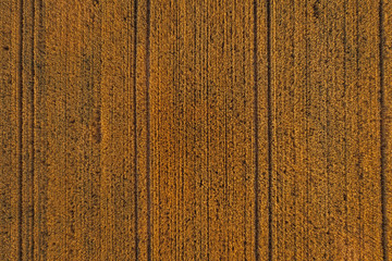 Aerial photography of farmlands, agricultural fields. 