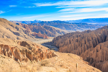 Fototapeta na wymiar Bolivian canyon near Tupiza,Bolivia