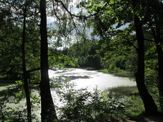 View of a Sunlit Lake in the Piacersk Forest in Mahiljou, Belarus