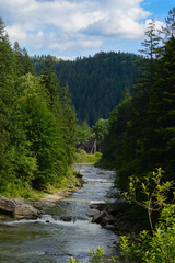 Wildlife in the summer forest. The fast blue mountain river flowing in summer leads to a residential building. Beautiful natural background, vertical.