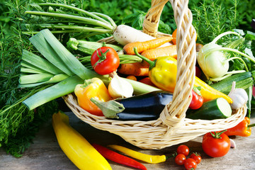 Variety of fresh summer vegetables in basket