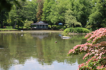 lake in the park, Halifax public gardens in summer, no people