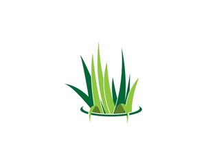 Grass logo vector template