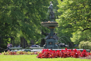 Halifax public gardens in summer, no people