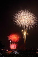 日本の美しき花火