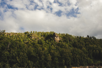 Obraz premium landscape with trees and clouds