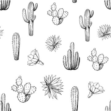 Seamless pattern with cacti and flowers. Hand drawn sketches converted to vector