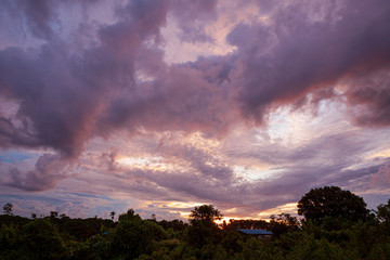 Tropical colorful vibrant sunset clouds and trees