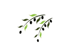  olive logo template vector design