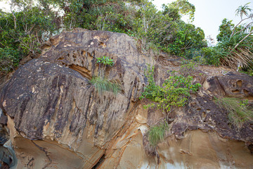 Beautiful sandstone rock at beach