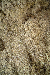 Taking photographs of wood plywood, used for making pellets