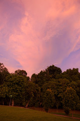 Vivid sunset clouds and trees