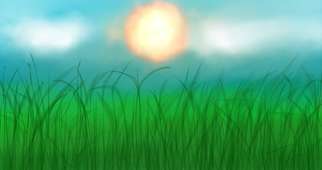 Obraz na płótnie Canvas background with green grass and sun