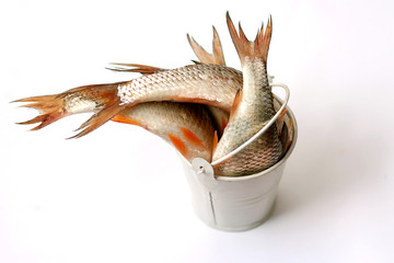 A full bucket of freshly caught perch. Top view © Anna