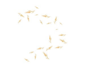 Agriculture wheat Logo Template vector icon design 