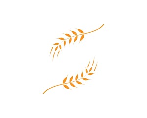 Agriculture wheat Logo Template vector icon design 