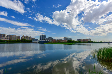 Naklejka premium Urban park landscape