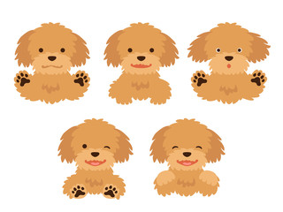 色々な表情のトイプードルのイラストセット