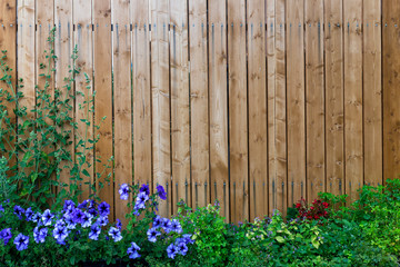 Wooden fence in a frame of green and purple flowers