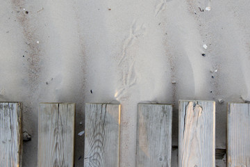 wooden pathway and seagull footprints on the sand